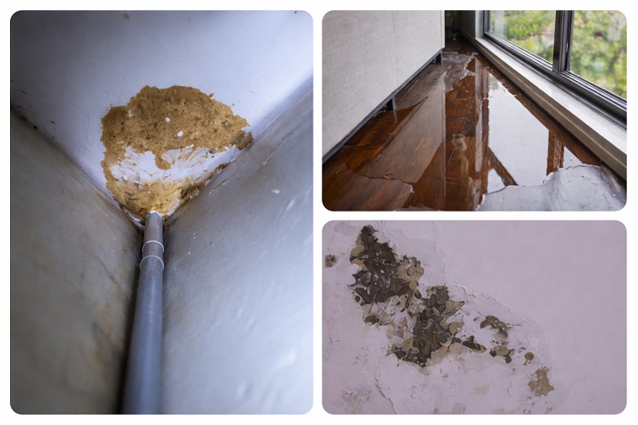 Assurance habitation et dégâts des eaux